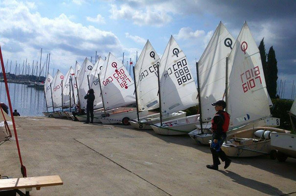 Mittel Europa Opti Race